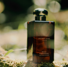 Charger l'image dans la galerie, Cologne Intense Hinoki & Cedarwood