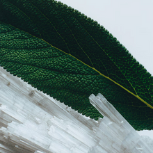 Charger l'image dans la galerie, Cologne  Wood Sage & Sea Salt