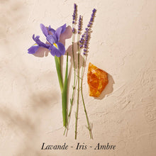 Load image into Gallery viewer, Ambre Sauvage Eau de Parfum – Goutal, visuel des notes