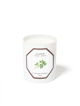 Charger l'image dans la galerie, Bougie AMBRE