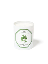 Charger l'image dans la galerie, Bougie LAURIER NOBLE