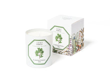 Charger l'image dans la galerie, Bougie LAURIER NOBLE