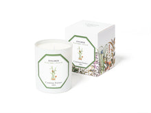 Charger l'image dans la galerie, Bougie GINGEMBRE