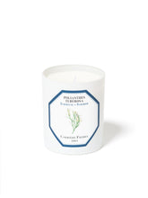 Charger l'image dans la galerie, Bougie TUBÉREUSE