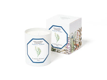 Charger l'image dans la galerie, Bougie TUBÉREUSE