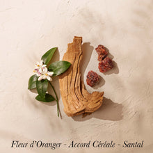 Load image into Gallery viewer, Le Temps des Rêves Eau de Parfum – Goutal, visuel des notes
